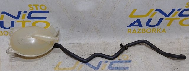 Водяний бачок системи охолодження 217107259R RENAULT