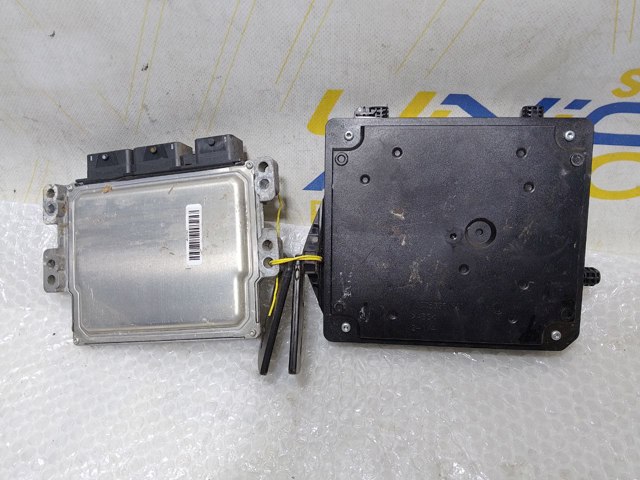 Мізки двигуна 237100914R RENAULT