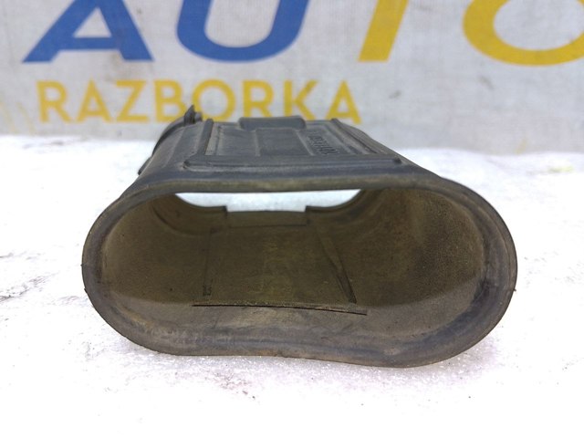 244947889R Renault (RVI)