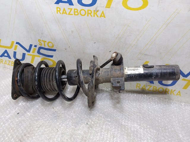 Амортизатор передній 543025005R RENAULT
