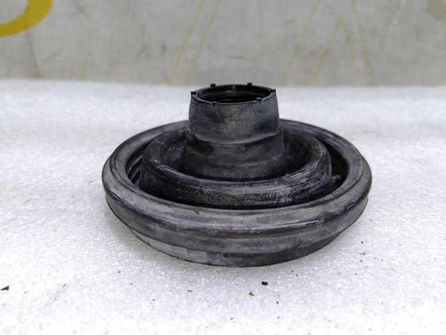 6001548130 Renault (RVI)
