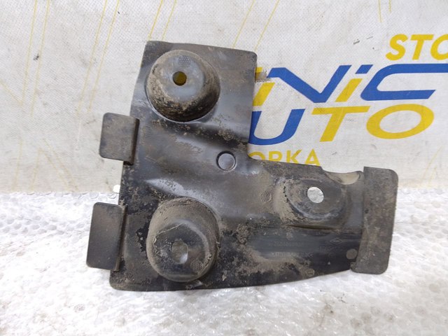 Бризковики задній, правий 788122543R RENAULT