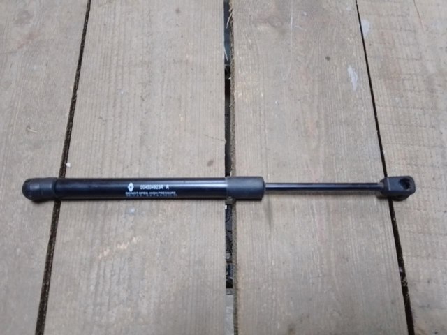 904504923R Renault (RVI)