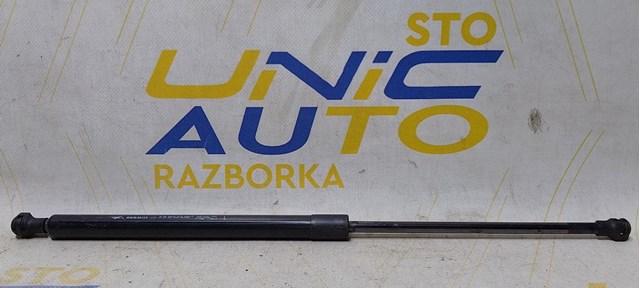 Амортизатор задньої ляди 904511213R RENAULT