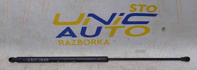 Амортизатор двері задньої 904513981R RENAULT
