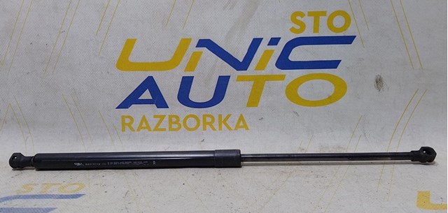 904515071R Renault (RVI)