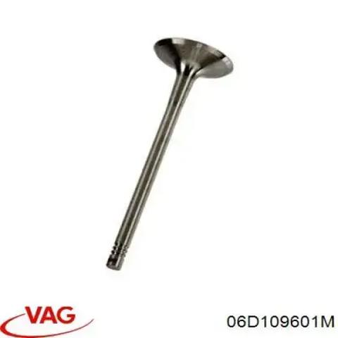 Клапана і штовхачі 06D109601M VAG