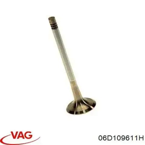 Вихлопний клапан 06D109611H VAG