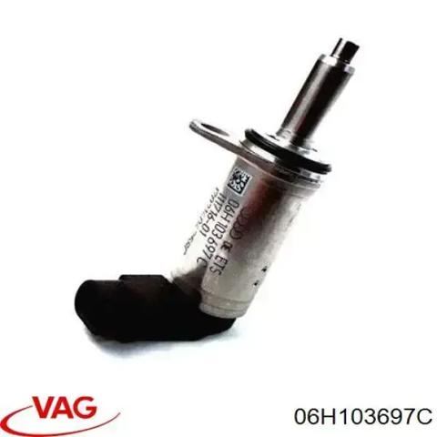 Регулятор фаз газорозподілу 06H103697C VAG