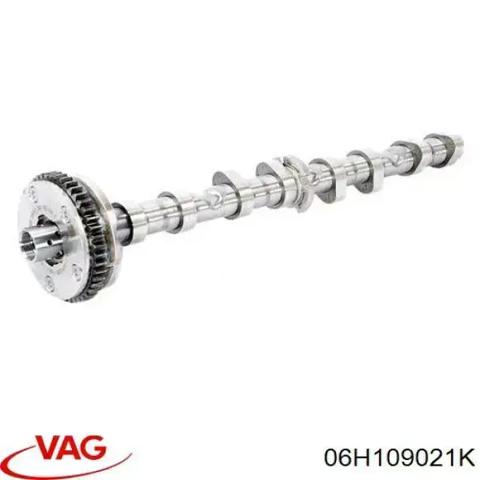 Шток двигуна, впускний 06H109021K VAG
