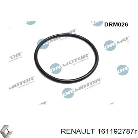 Блок дросельної заслінки 161192787R RENAULT