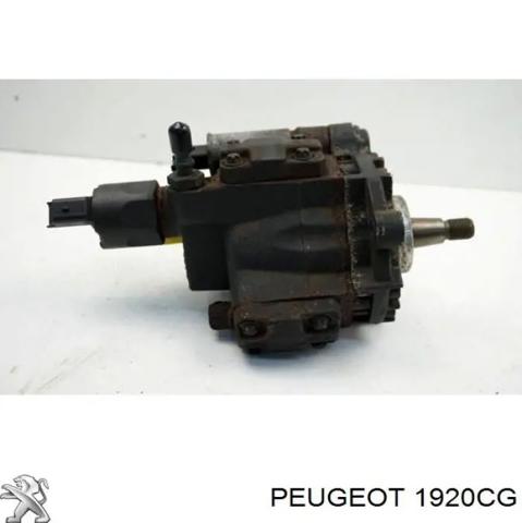 Насос паливний високого тиску (ПНВТ) - DIESEL 1920CG PEUGEOT