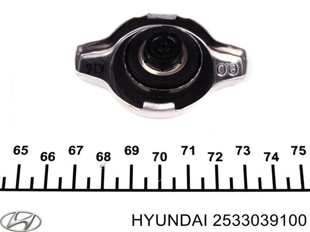 Кришка / пробка радіатора 2533039100 HYUNDAI