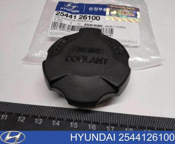 Пробка розширювального бачка Hyundai Accent 4