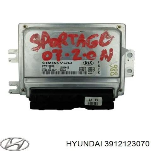 Мізки двигуна 3912123070 HYUNDAI