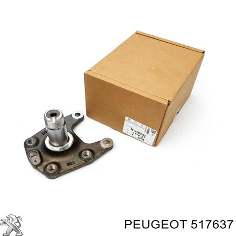 Цапфа - поворотний кулак задній 517637 PEUGEOT