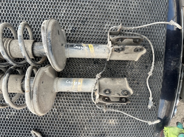 Амортизатори передні 543022344R RENAULT