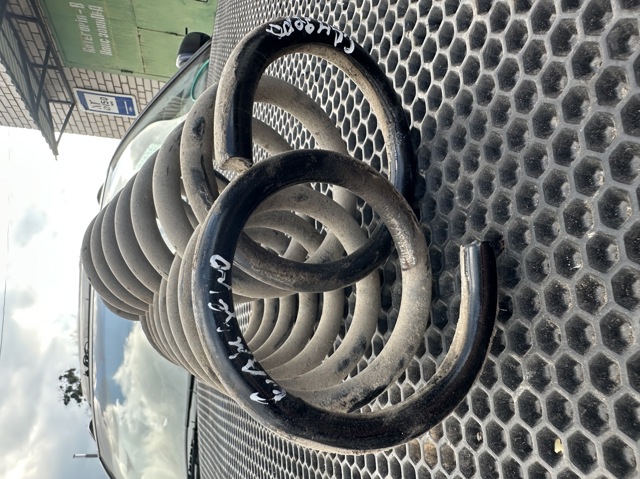 Пружина підвіски задня 550209436R RENAULT