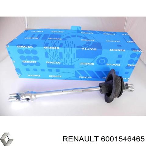6001546465 Renault (RVI)