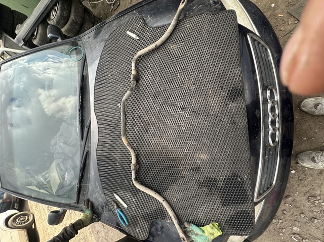 Стабілізатор передній стійкості 6001547137 RENAULT