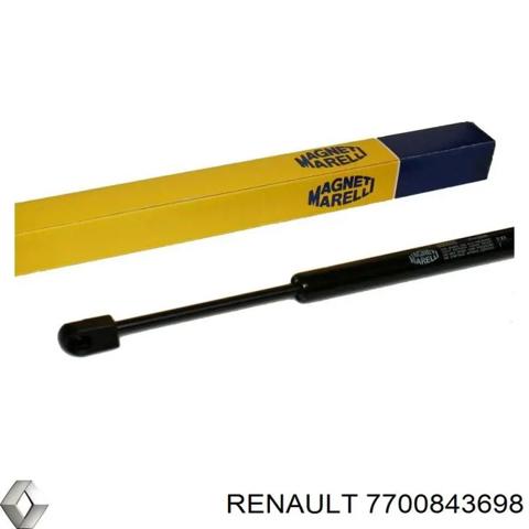 Стійка задніх дверей 7700843698 RENAULT