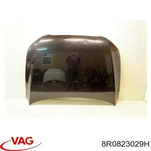 Капот 8R0823029H VAG