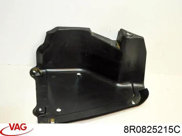 Захист днища, задній лівий 8R0825215C VAG