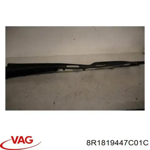 Водостік лобового скла, жабо 8R1819447C01C VAG