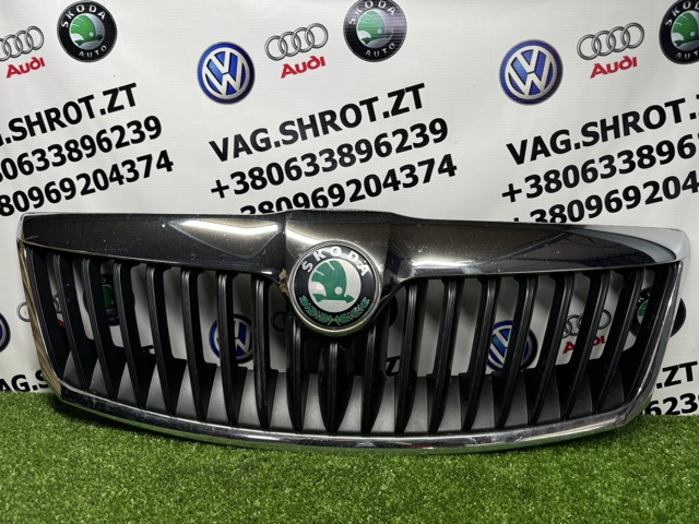 Решітка 1Z0853651C VAG
