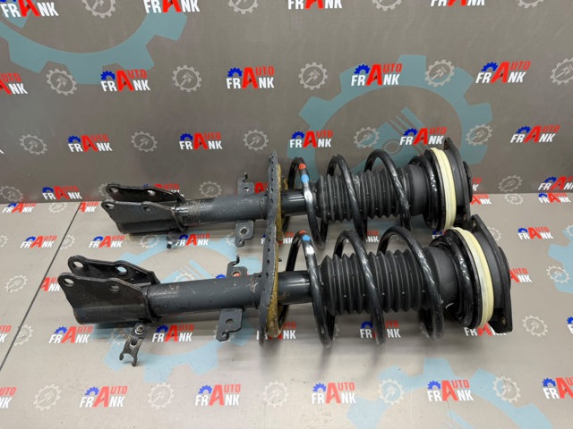 Амортизатори передні 543029762R RENAULT