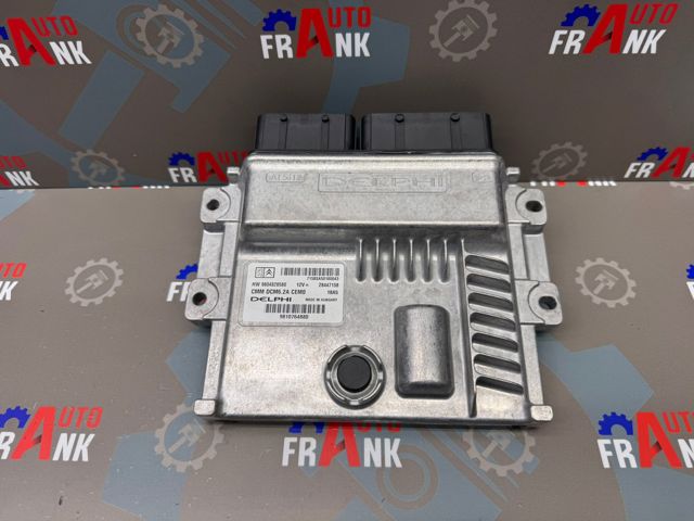 9810764880 Peugeot/Citroen