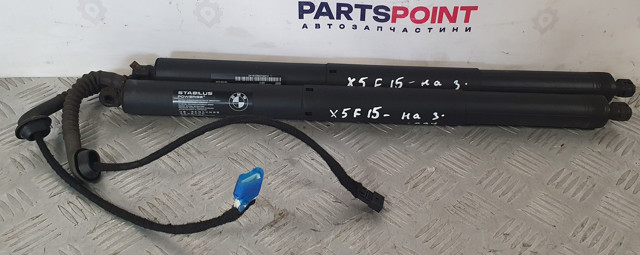 Амортизатор двері 3/5-ї задньої 51247294469 BMW