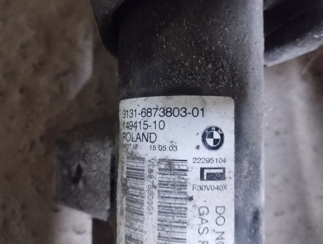 Ліва передня стійка 31316873803 BMW