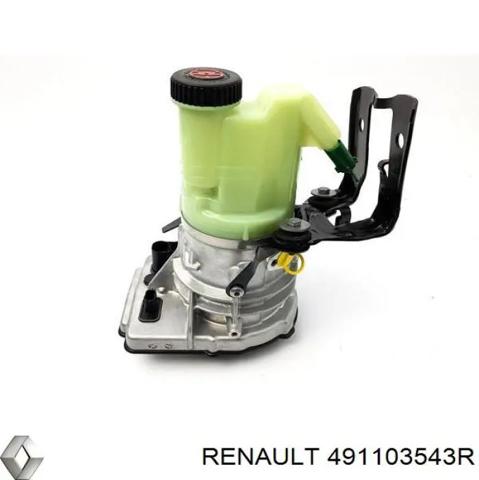 Насос гідропідсилювача керма 491103543R RENAULT