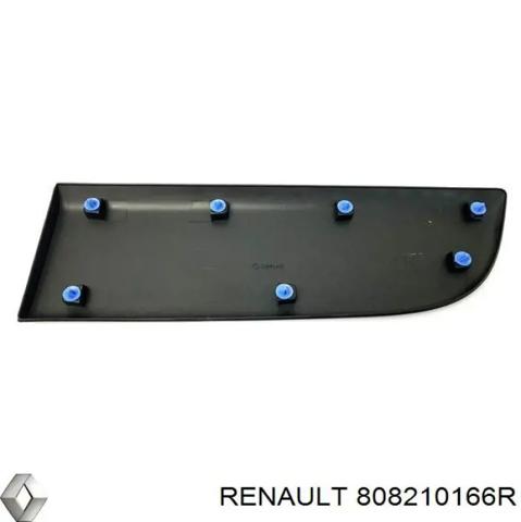 Молдинг передньої лівої двері, нижній 808210166R RENAULT