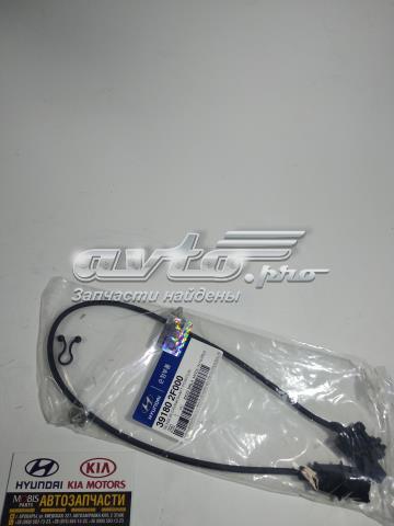 Обмежувач частоти обертання колінчастого вала двигуна 391802F000 HYUNDAI