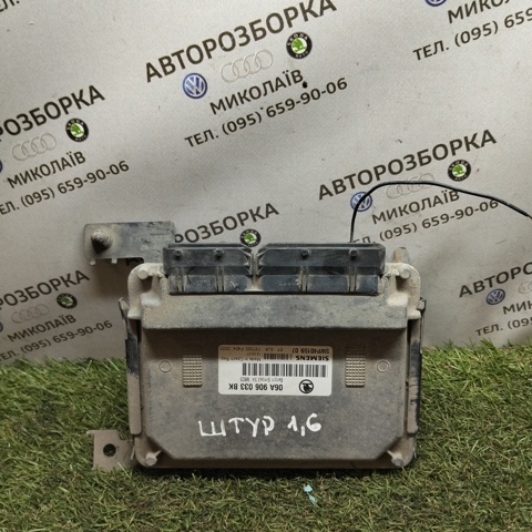Мізки двигуна 06A906033BK VAG