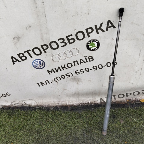 Амортизатор задньої ляди 1J6827550C VAG
