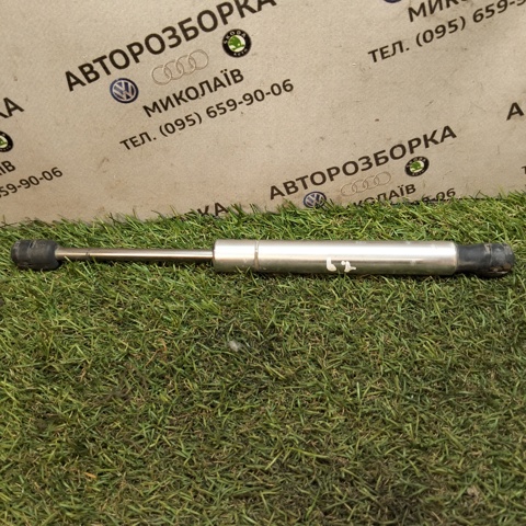 Амортизатор двері 3/5-ї задньої Skoda SuperB 1