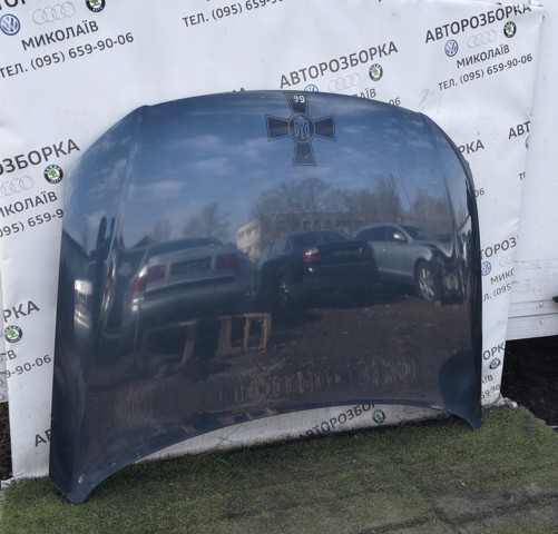 Капот 3C0823031 VAG