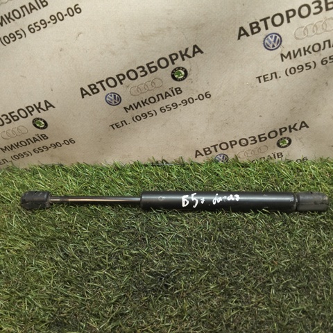 Амортизатор двері задньої 4020800 STARLINE