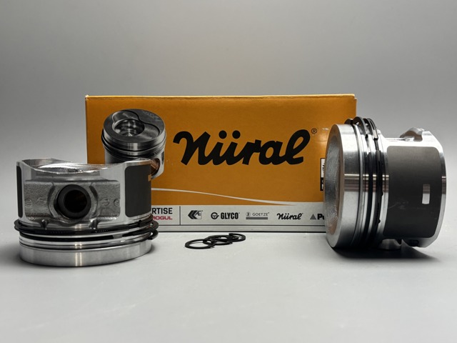 0216202 Mahle Original