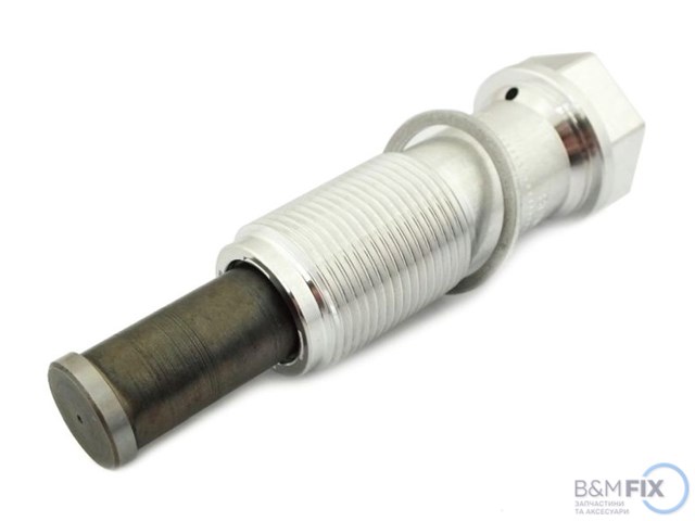 Гідронатяжитель ланцюга 11318490219 BMW