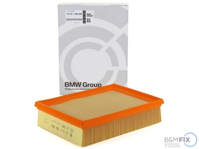 Система автоматичного очищення повітряного фільтра 13721730449 BMW