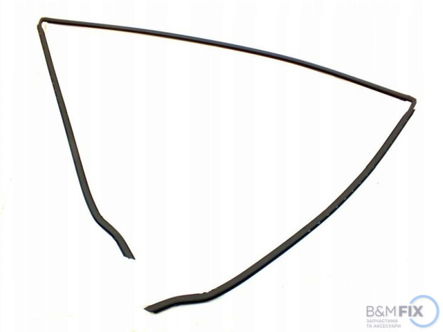 Молдинг вітрового скла 51318159784 BMW