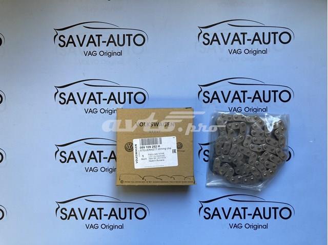 Ланцюг газорозподілу 059109252H VAG
