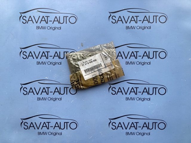 Ланцюг масло насоса 11318506656 BMW
