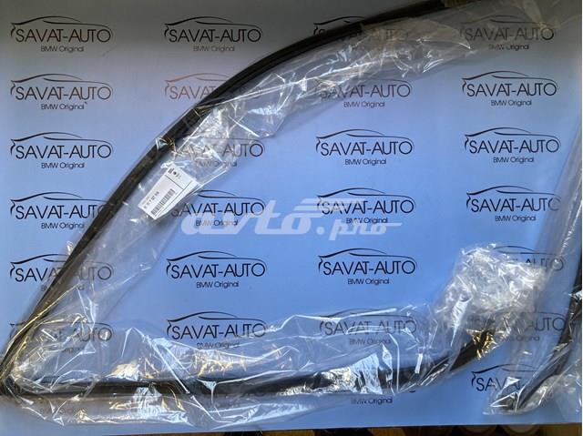 Ущільнювач заднього скла, верхній 51317027916 BMW