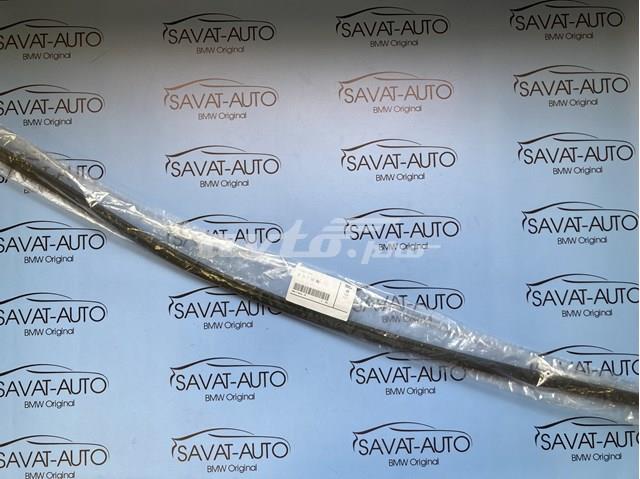 Молдинг лобового скла, верхній 51317166841 BMW