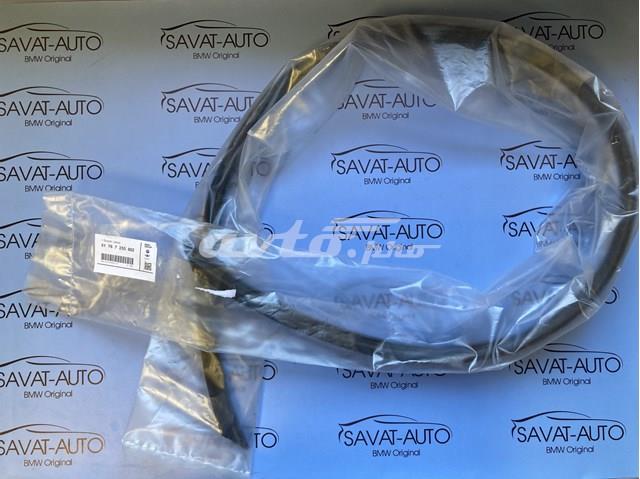 Ущільнювач капота 51767255802 BMW